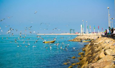 سلام بر جنوب