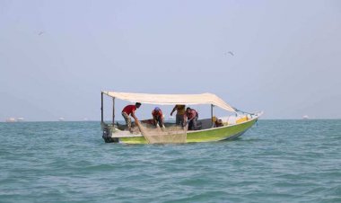 صیادان گمشده پیدا شدند