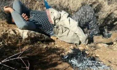 حمله  خرس  به  مرد  اقلیدی