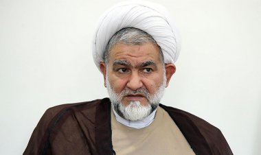 نماینده مجلس: بر اساس قانون، نگهداری از کبوتر هم ممنوع و خلاف قانون است