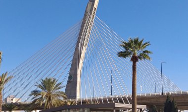 سقوط جوان ۲۴ ساله از پل کابلی  شیراز