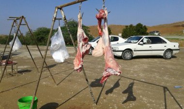 ذبح سلامتی به پای ارزانی