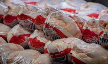 عرضه اینترنتی مرغ   از امروز در شیراز