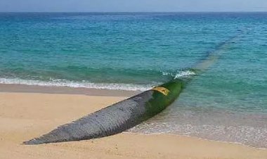 افزایش تخصیص آب دریا به فارس