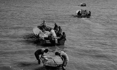 دریا ، ماهی، بندرعباس قدیم