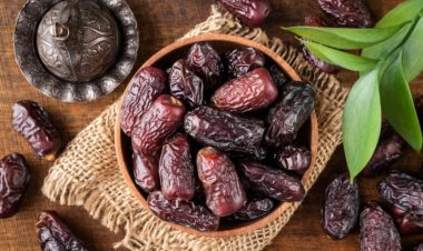 ثبت جهانی خرمای کبکاب و زاهدی طلایی بوشهر