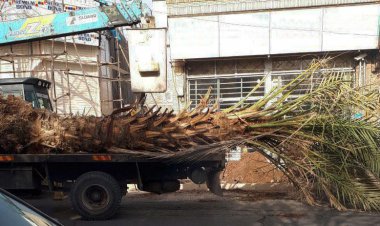 ‌می‌فروشندشان  تا شاهد مرگ‌شان نباشند!