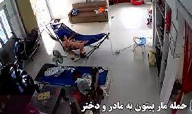 ببینید؛ لحظه حمله مار پیتون به یک مادر و دختر