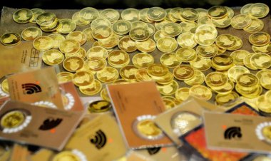 ریسک خرید کدام قطعات سکه در بازار بالاست؟