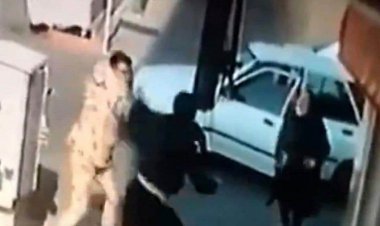 آقای سارق از سرباز شجاع شکایت کرد