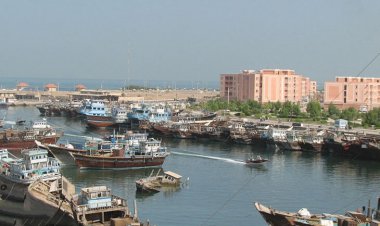 گناوه لرزید