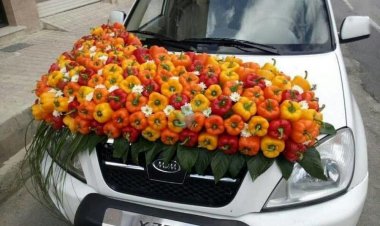 تزئین عجیب ماشین عروس  در شیراز