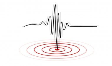 زلزله ۴.۱ ریشتری خشت کازرون خسارتی نداشت