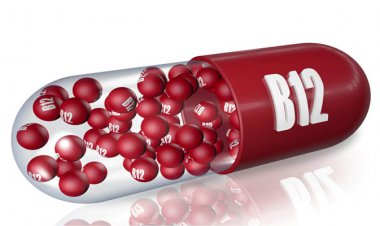 گیاه خواران چگونه ویتامین B۱۲ بدنشان را تامین کنند؟