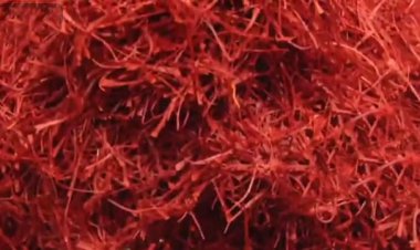 سود چند میلیاردی زعفران در جیب یک نفر!