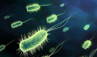 تکذیب شایعه انتشار وبا از طریق آب اهواز