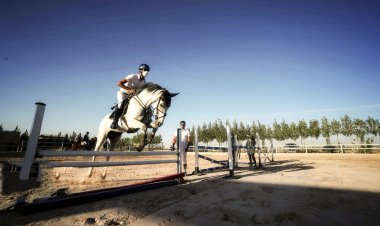 سوارکاران برتر فارس معرفی شدند