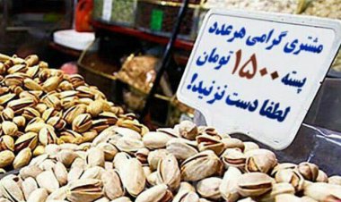 یلدا؛ مسافر غریب