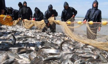 تشدید نظارت شرعی بر صید و فروش آبزیان