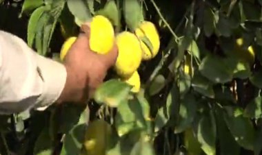 هشدار کاهش دما در فارس