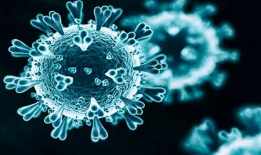 6 نکته کلیدی درباره اُمیکرون