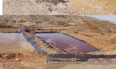 آلودگی نفتی رودخانه شهرستان بهمئی و تلفات آبزیان