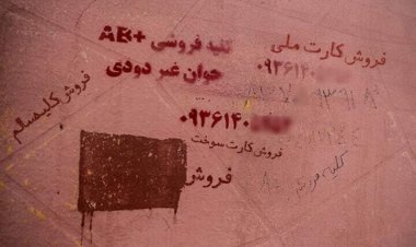 رشد مشاغل عجیب و غریب