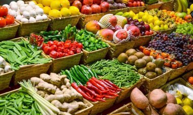 اعلام صریح یک نماینده مجلس: بعضی محصولات کشاورزی سلامت کامل ندارد