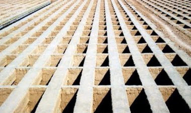 قبر  هم قسطی شد