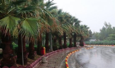 فعالیت سامانه بارشی که هشدار درباره‌اش داده شده، در بوشهر آغاز شد