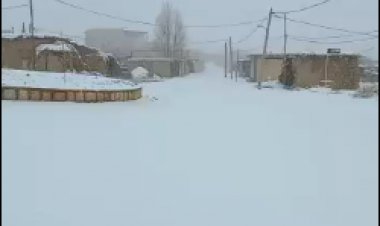 برف، شمال فارس را سپید پوش کرد + فیلم