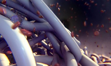 ساخت دریچه‌های قلب و عروق خونی خود ترمیم شونده