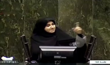 نطق تندخانم نماینده خطاب به رئیس جمهور:  وزرای شما به همه رفقای سیاسی خود بفرما داده‌اند!