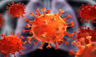 آخرین آمار مبتلایان به اُمیکرون