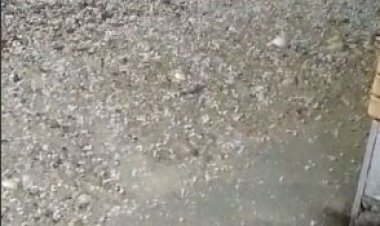 خسارت طوفان و تگرگ به مزارع کشاورزی باغان