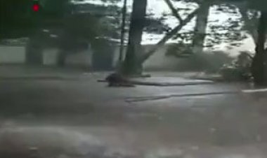 ببینید؛ بارش شدید باران در خرمشهر