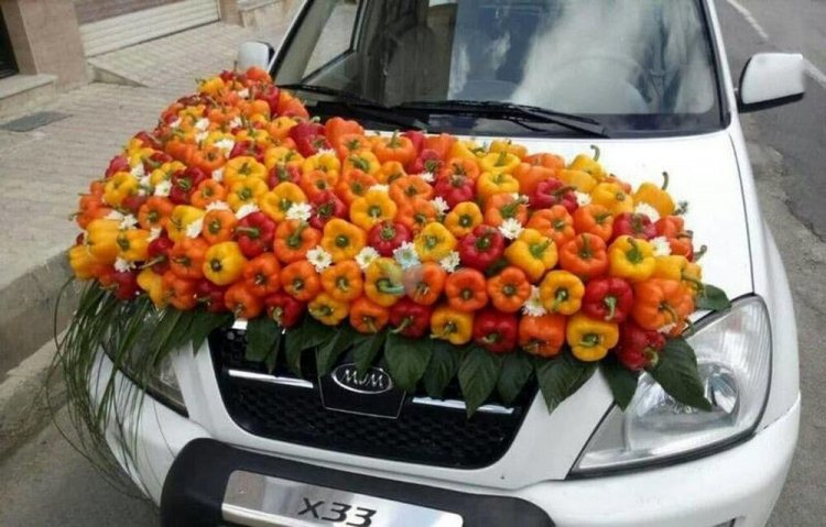 تزئین عجیب ماشین عروس  در شیراز