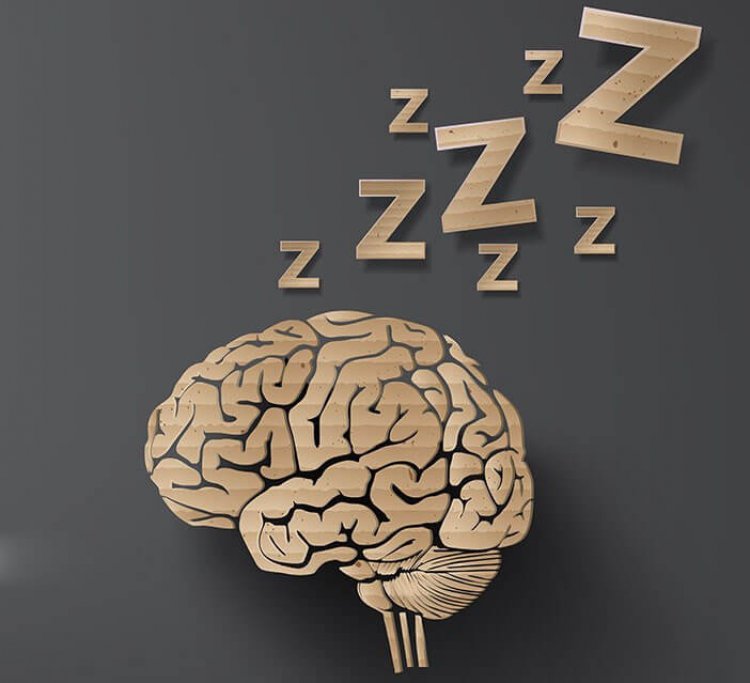 تاثیر کم خوابی بر مغز انسان