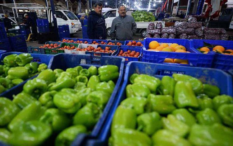 علت برگشت محصولات صادراتی به ایران