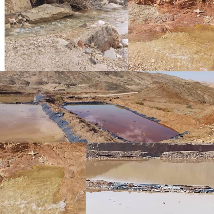 آلودگی نفتی رودخانه شهرستان بهمئی و تلفات آبزیان