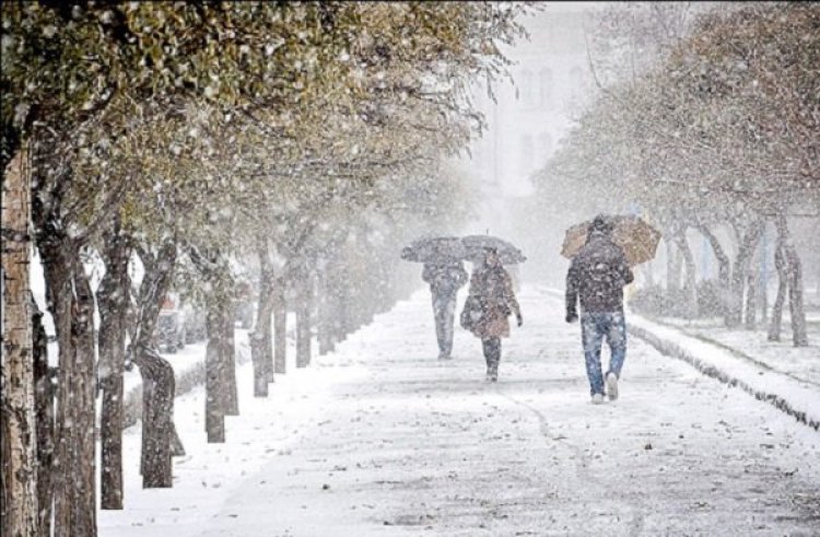 سرمای دی‌ماه همه ایران را فرا می‌گیرد / این استان‌ها رکورد سرما را می‌شکنند