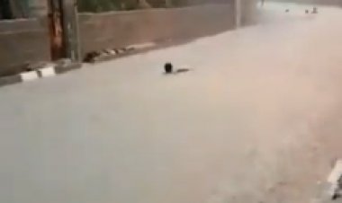 شنای بچه‌های میناب در کوچه‌های لبریز از سیلاب