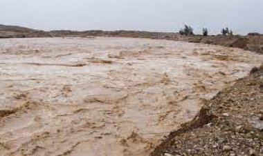 غرق شدن خودرو در رودخانه فسا