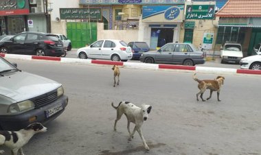 پای جان انسانها در میان است
