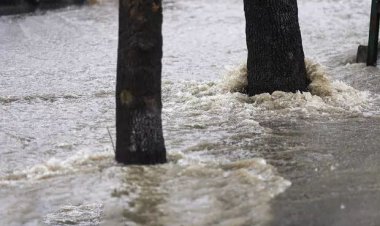 فیروزآباد رکورد دار بارش های اخیر فارس