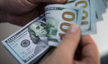 عقب‌نشینی دلار؛ ریزش ادامه دارد