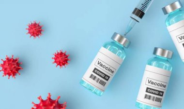 ۱۷ درصد افراد در مناطق زیرمجموعه علوم پزشکی شیراز سه دُز واکسن زده‌اند