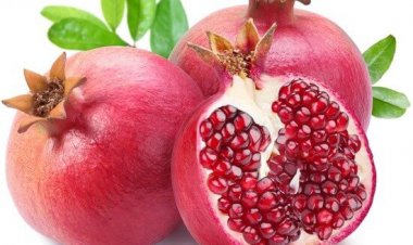 انار ارسنجان گواهی سلامت "ICM” گرفت