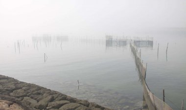 رطوبت در آبادان و خرمشهر به ۱۰۰ درصد رسید