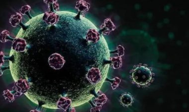 هرمزگان در صدر مبتلایان به اُمیکرون